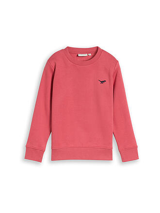 TOM TAILOR | Maglione da ragazzo