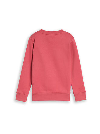 TOM TAILOR | Maglione da ragazzo