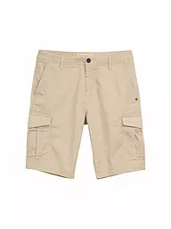 TOM TAILOR | Shorts  | Beige