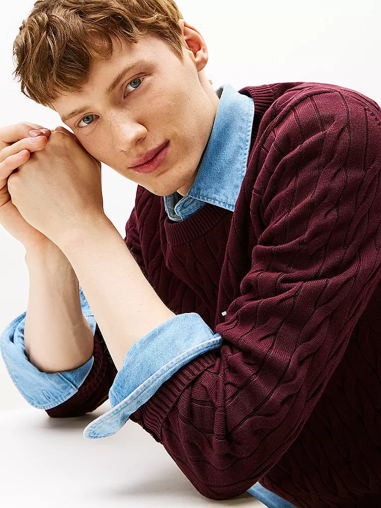 TOMMY HILFIGER | Pullover | Rosso scuro