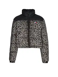 TOMMY JEANS | Piumino | Marrone