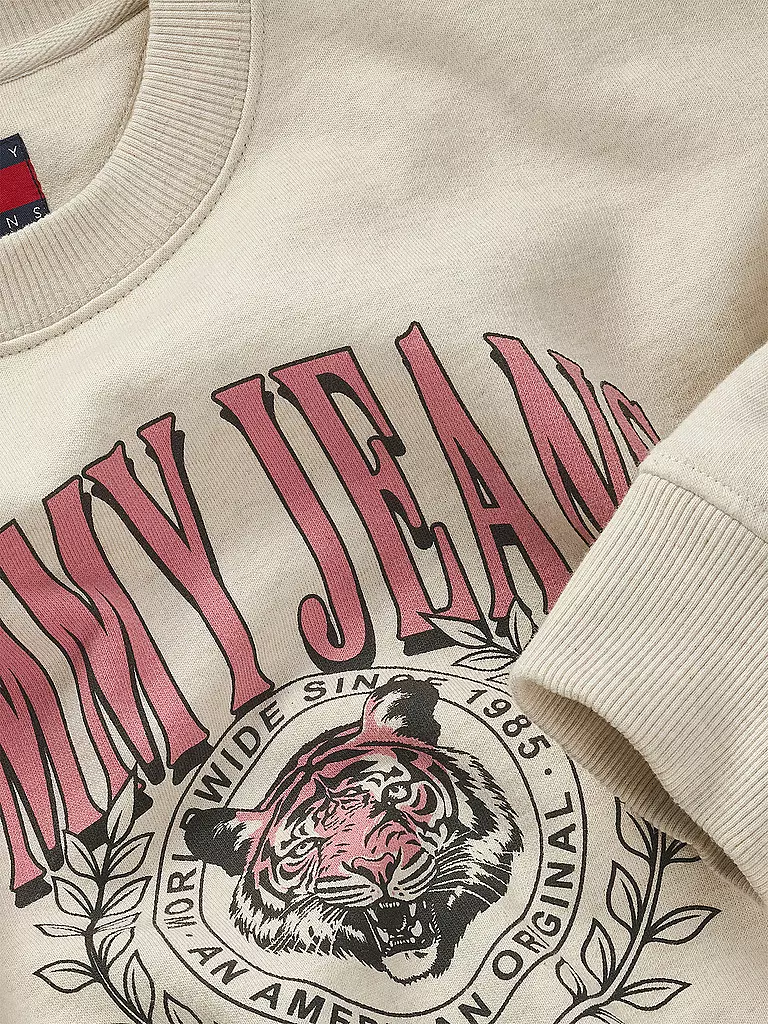 TOMMY JEANS | Pullover | 