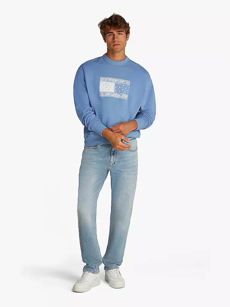 TOMMY JEANS | Sweater | Blu