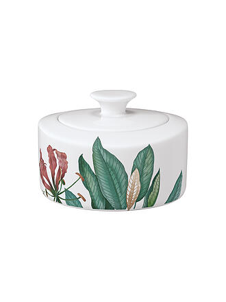 VILLEROY & BOCH SIGNATURE | Zuccheriera/Marmellatiera 0,33 l Avarua Bianco