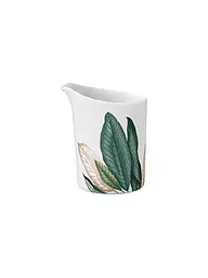 VILLEROY & BOCH SIGNATURE | Lattiera 0,22l Avarua Bianco | Multicolore