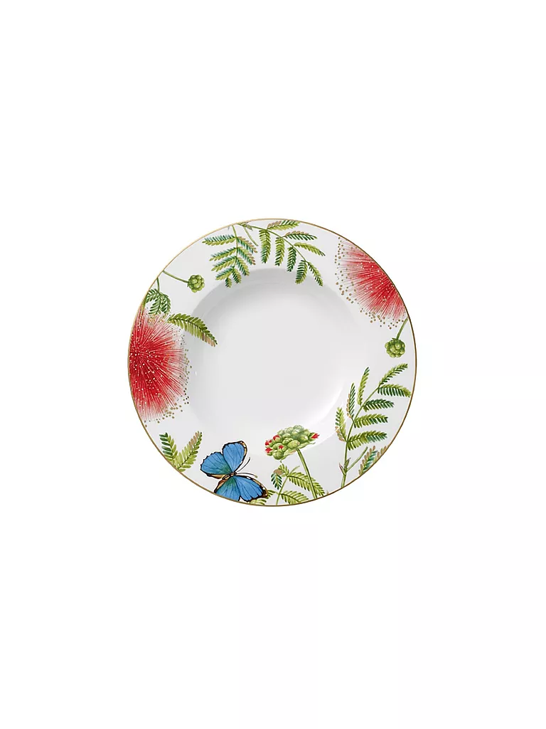 VILLEROY & BOCH SIGNATURE | Suppenteller "Amazonia Anmut" 24cm | Multicolore