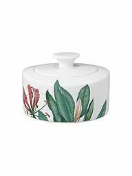 VILLEROY & BOCH SIGNATURE | Zuccheriera/Marmellatiera 0,33 l Avarua Bianco | Multicolore