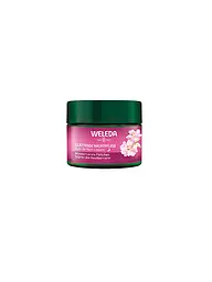 WELEDA | Crema viso - Rosa canina e tè bianco trattamento notte 40ml | Senza colore