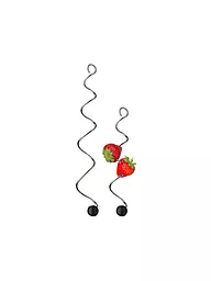 WMF | Fruchtspiess BASIC 2Stk. Cromargan/Sil.  | Argento