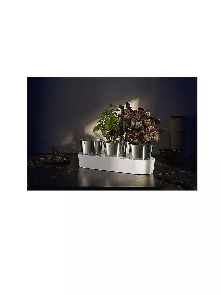 WMF | Set da giardino di erbe aromatiche da interno Gourmet, 3 pezzi, Cromargan / Bianco | Argento